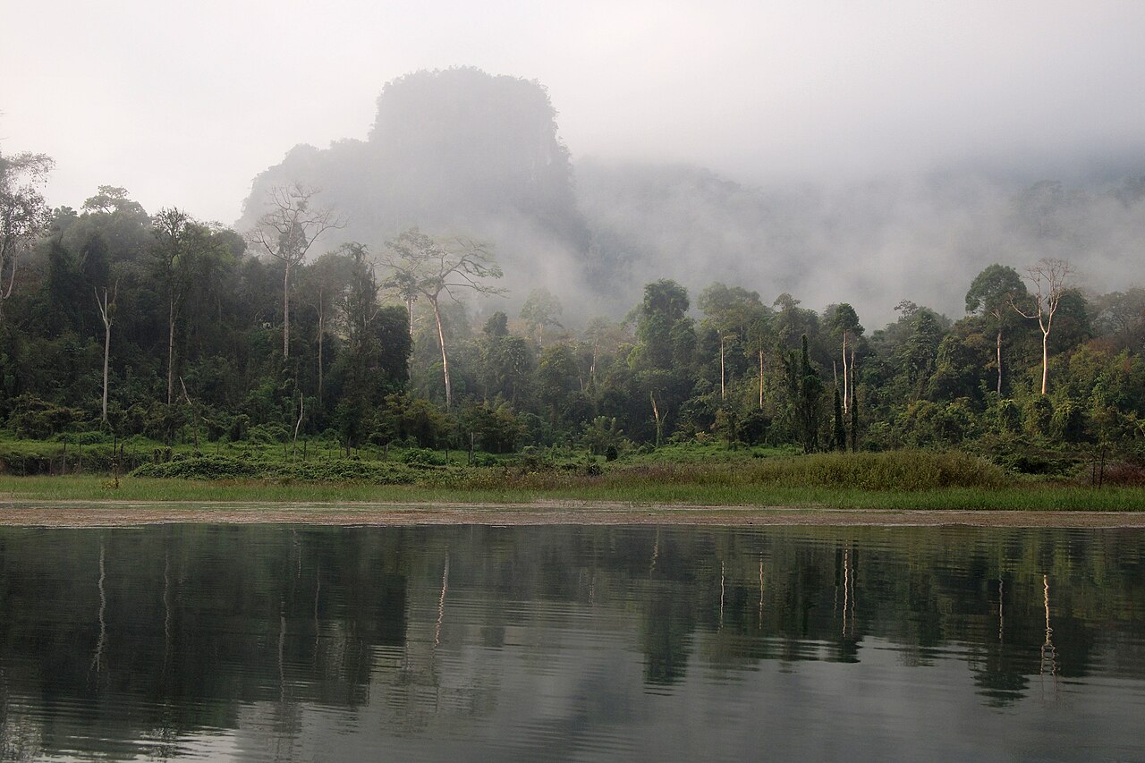 Rainforest and limestone formations on Cheow Lan Lake in Khao Sok