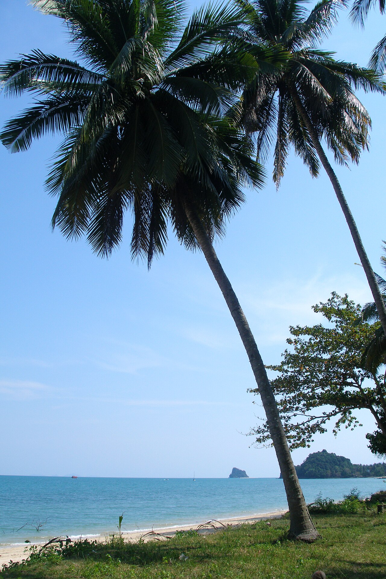 Palm trees overlooking Phang Nga Bay on Koh Yao Noi